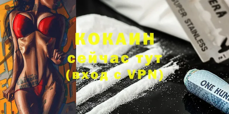 нарко площадка телеграм  Буй  Cocaine 98%  МЕГА ссылки 